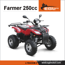 Quad de sport 250CC EEC